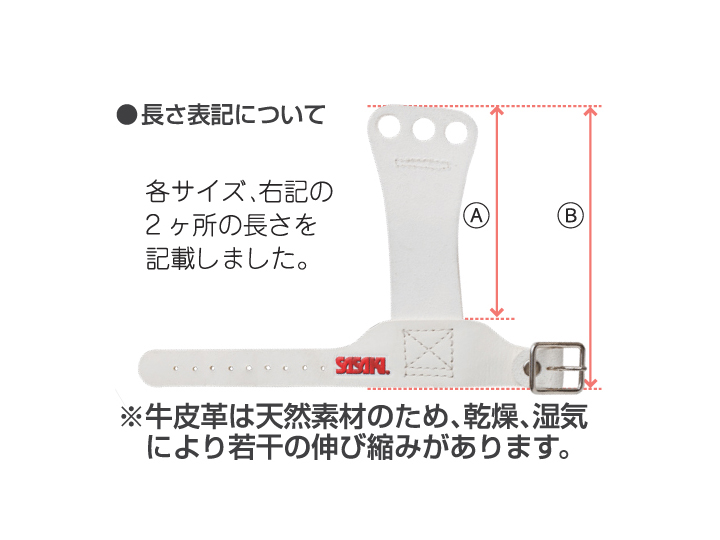 プロテクター サイズ