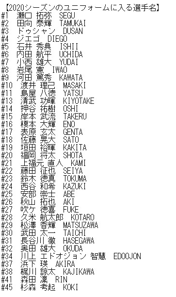 ササクラスポーツ ランニング通販 シーズン 徳島ヴォルティスオーセンティックモデル2ndゲームシャツ 半袖